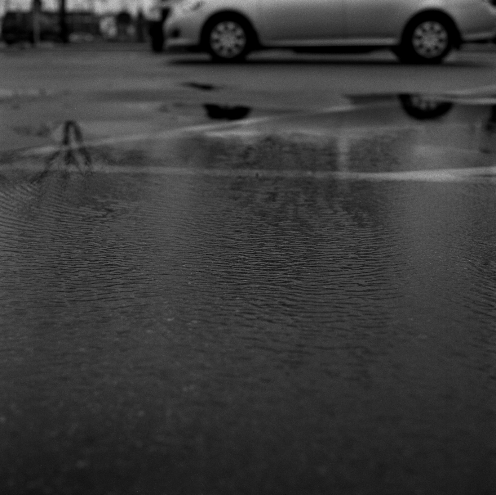Hasselblad101202 007