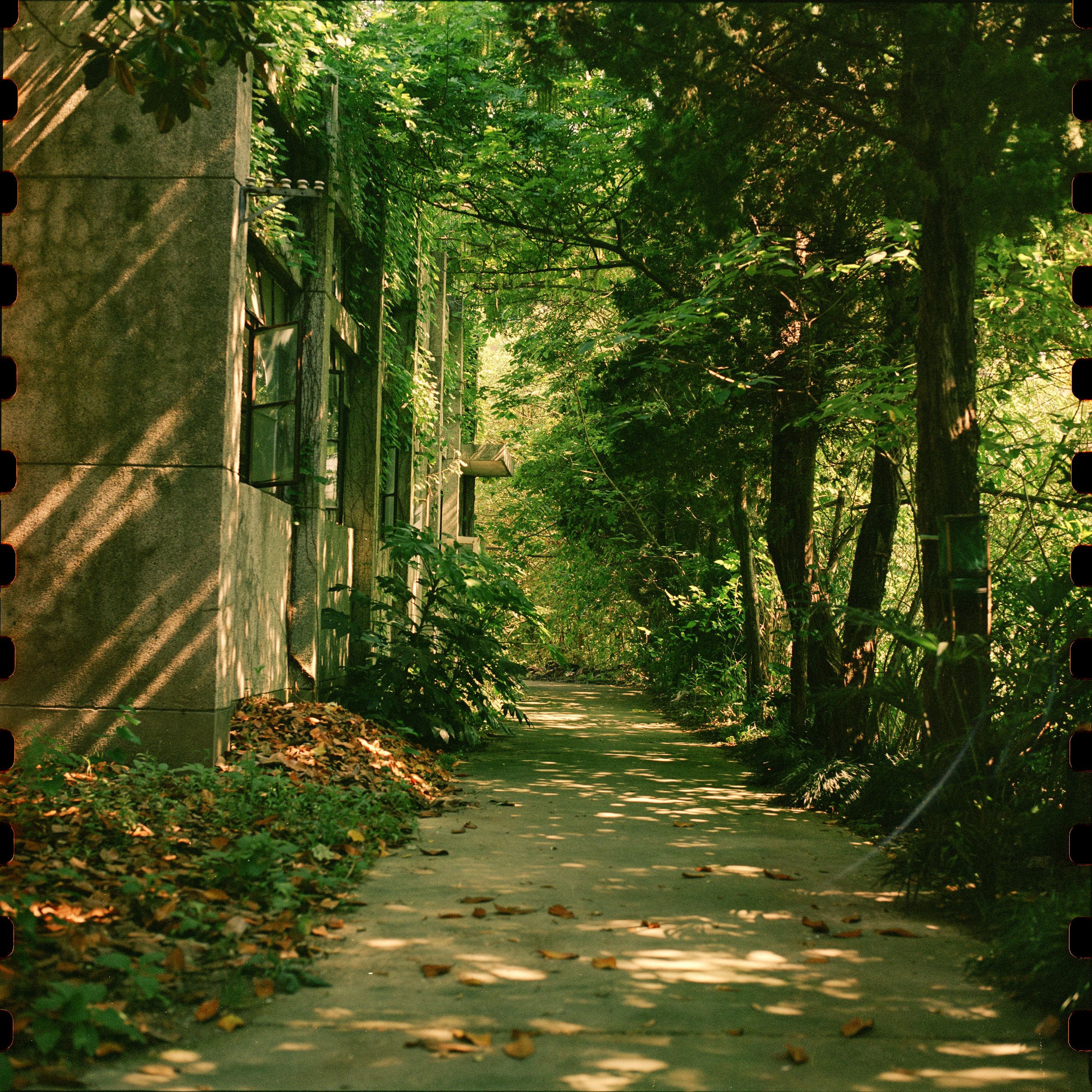 Hasselblad240517 5207 001