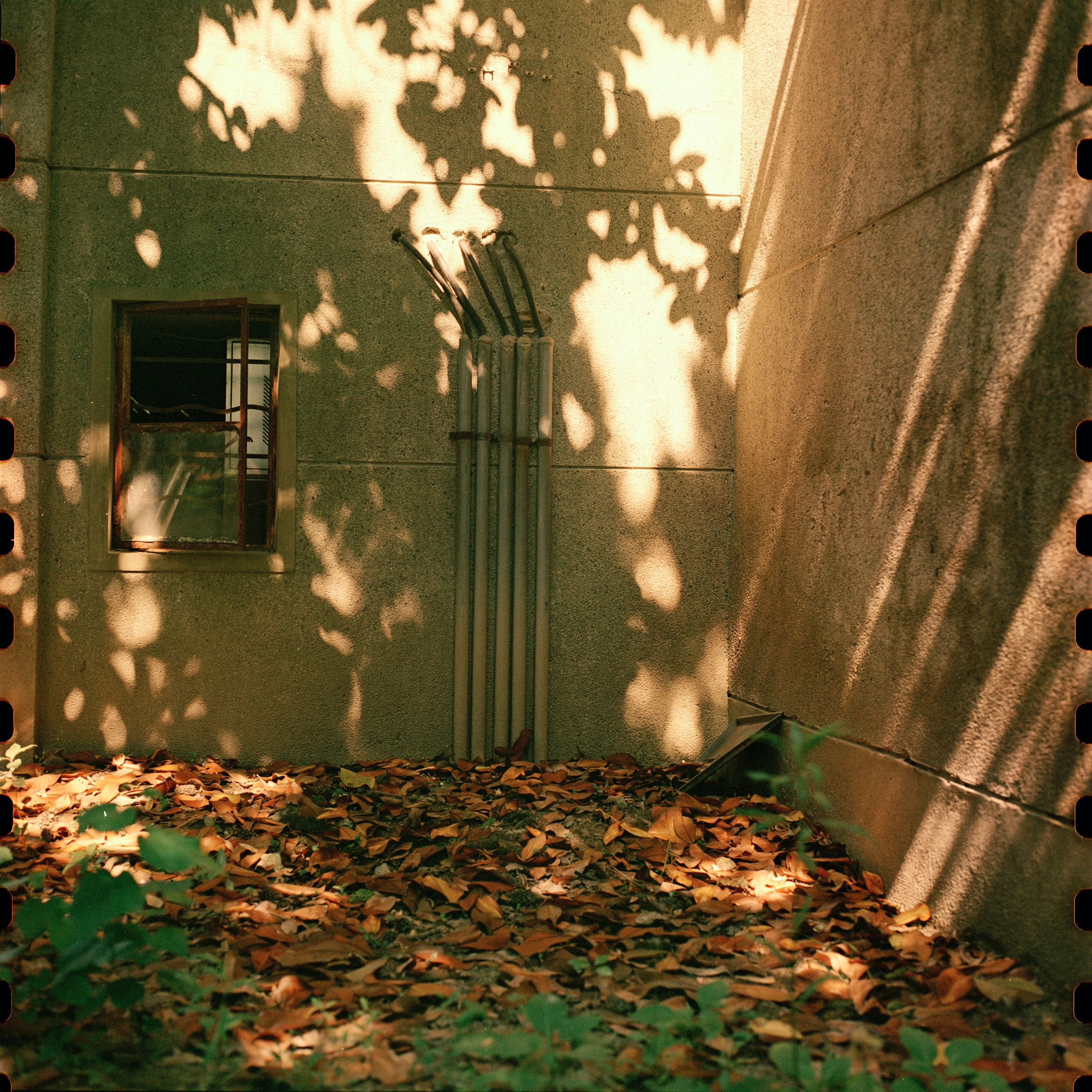 Hasselblad240517 5207 002
