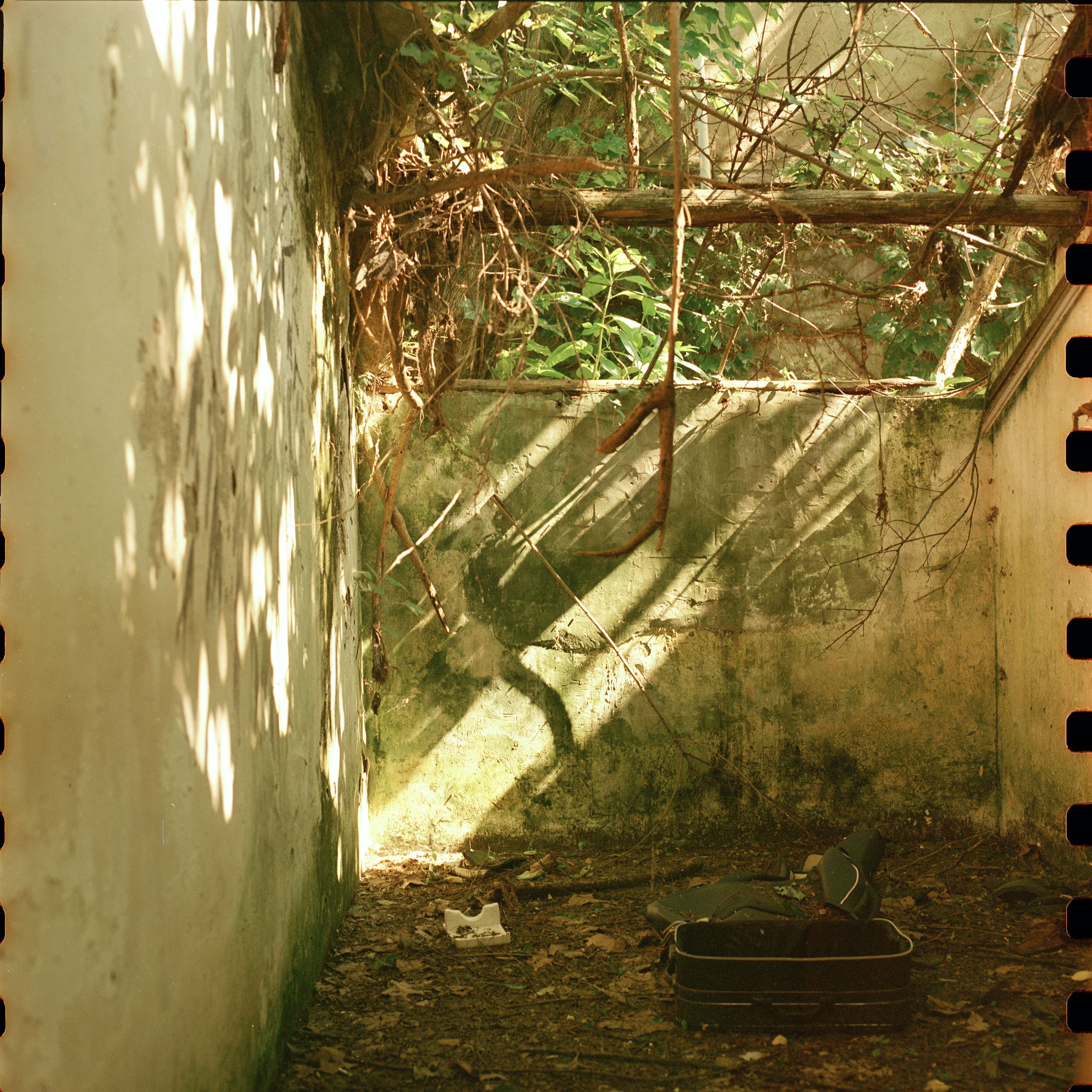Hasselblad240517 5207 009