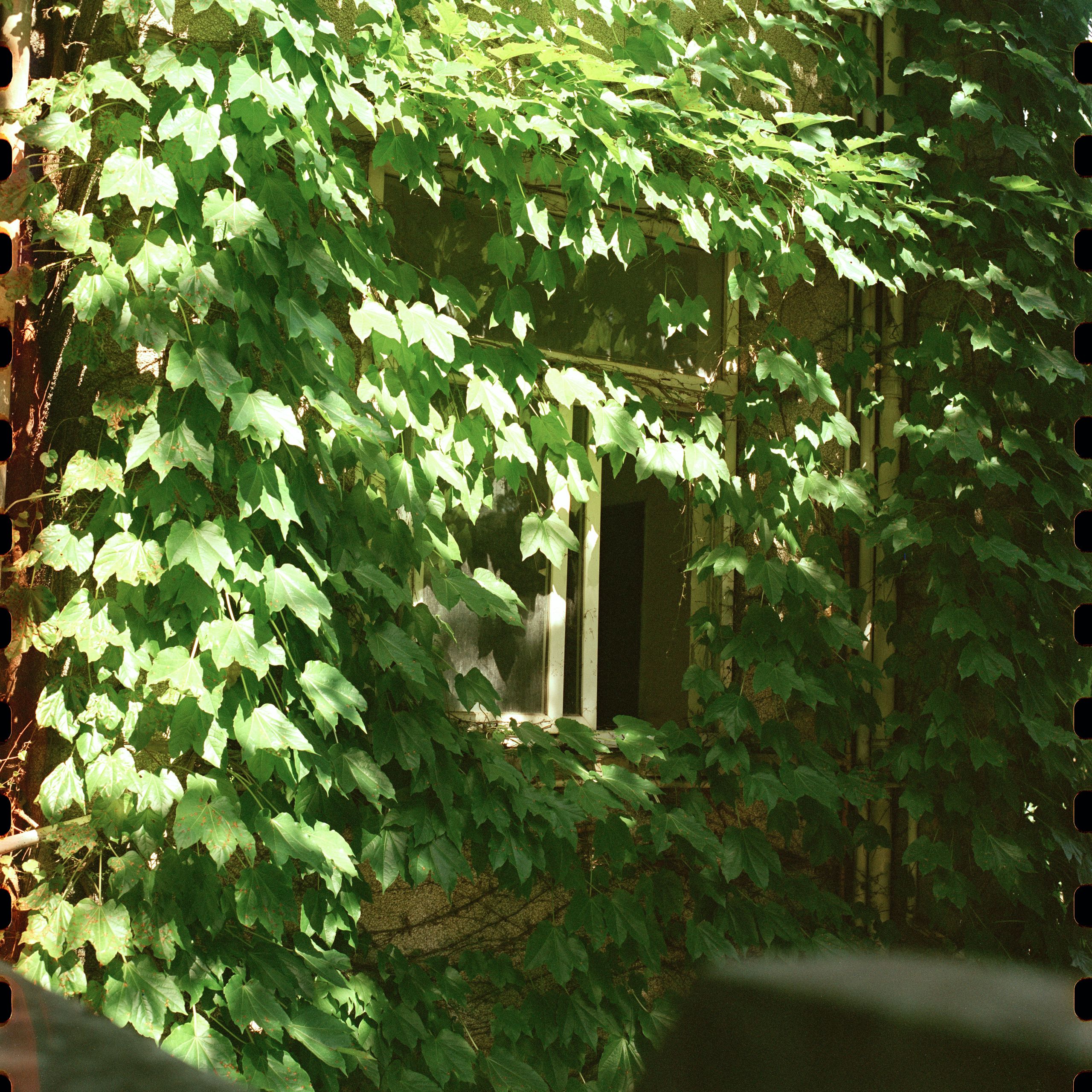 Hasselblad240517 5207 010