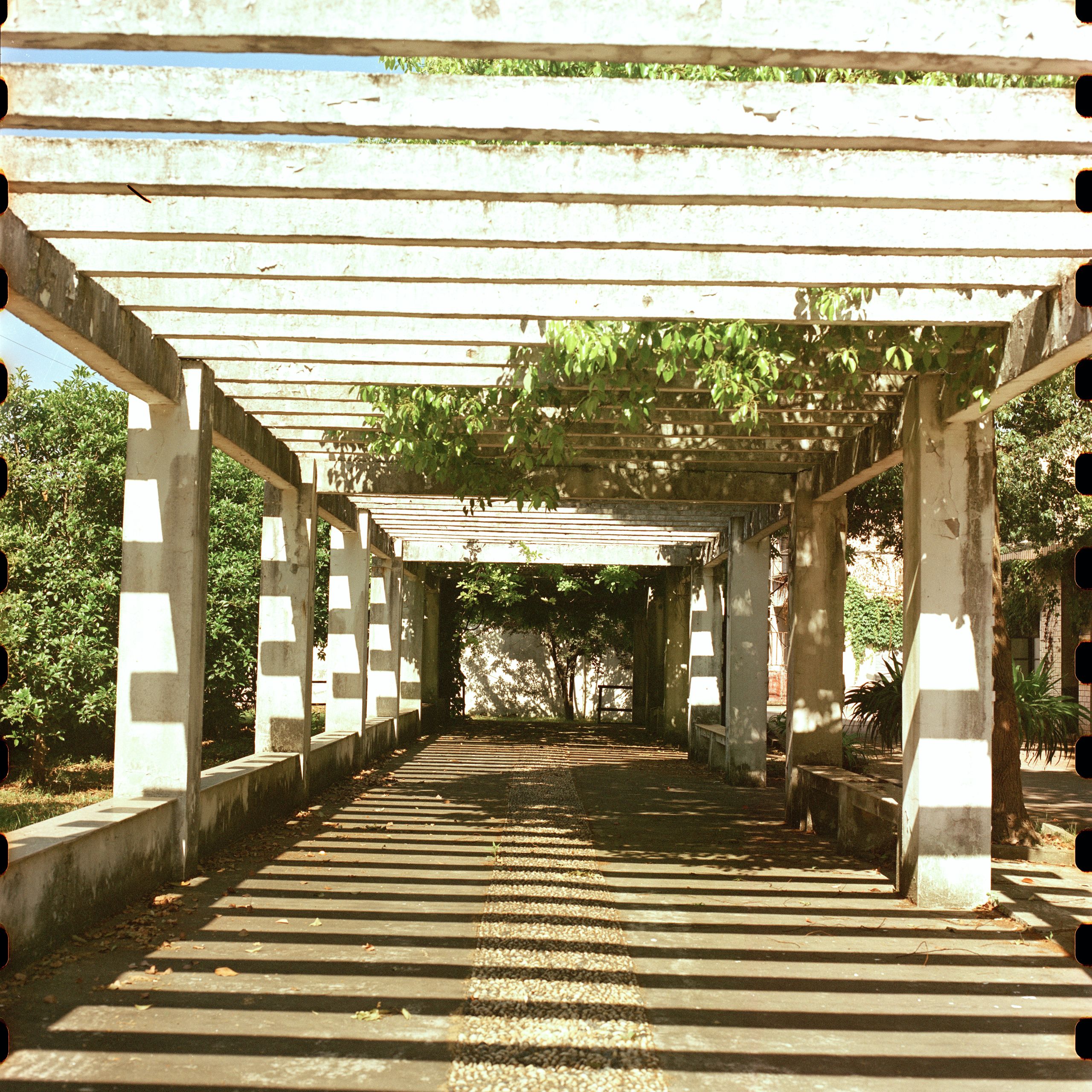 Hasselblad240517 5207 012
