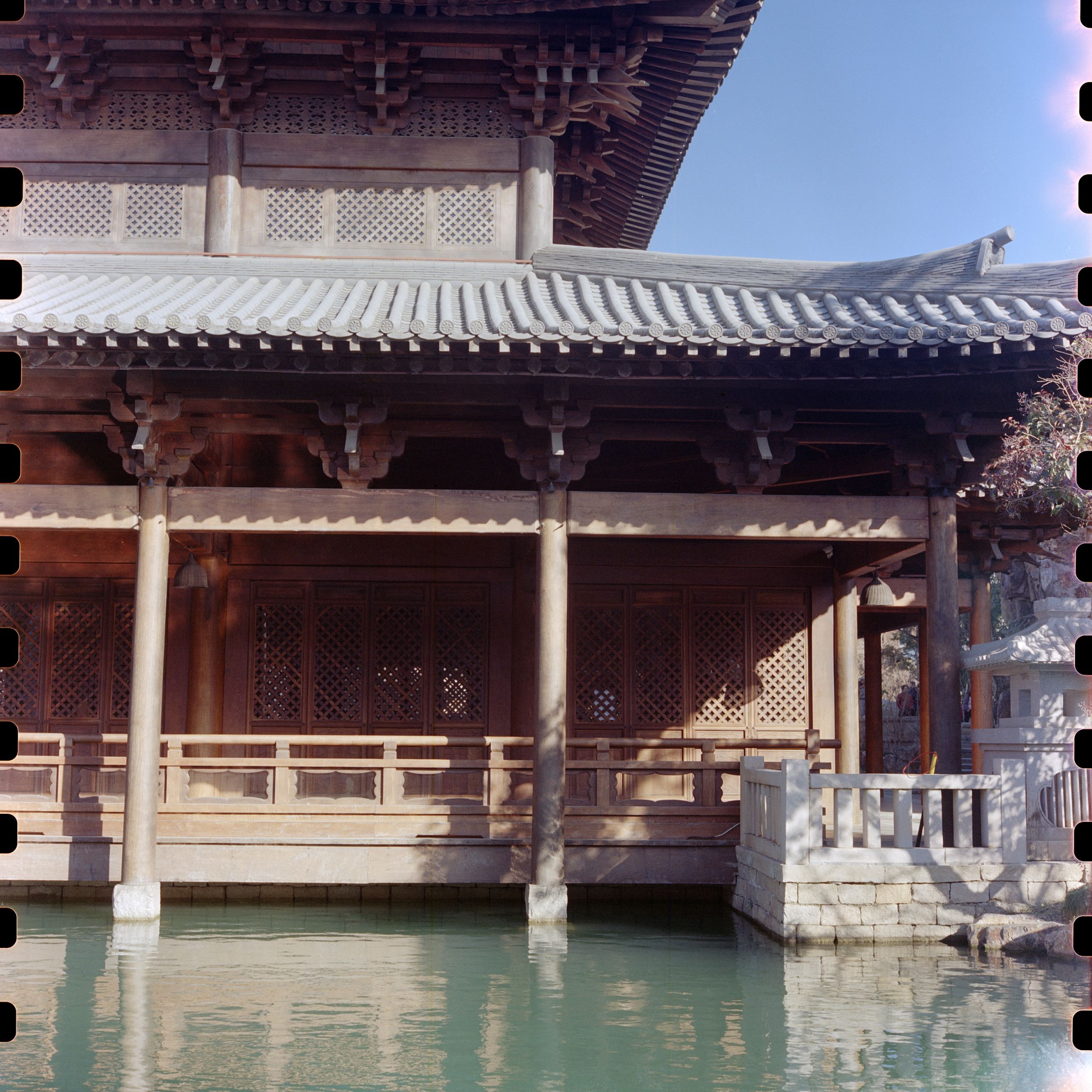 Rolleiflex 5207 202502 001