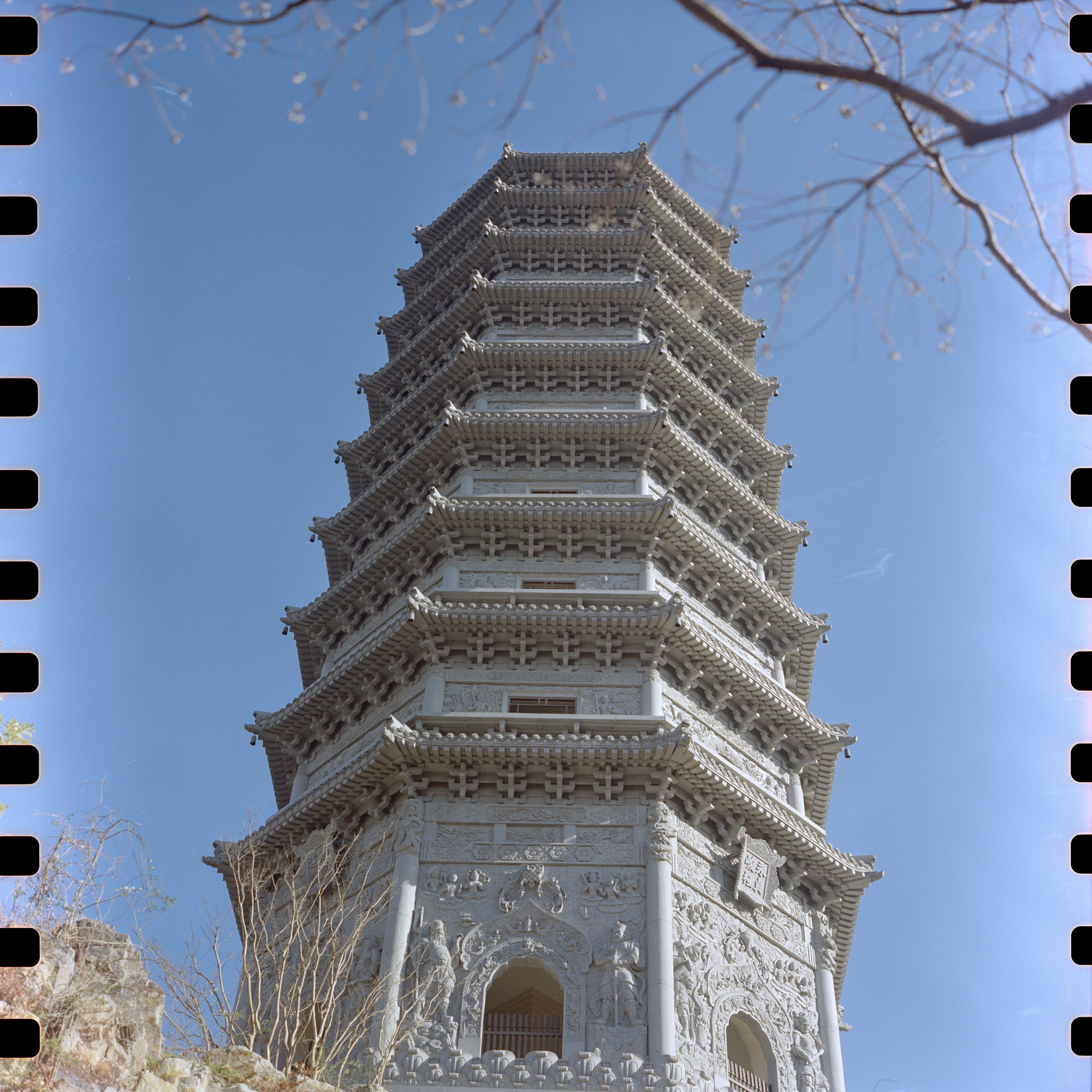 Rolleiflex 5207 202502 003
