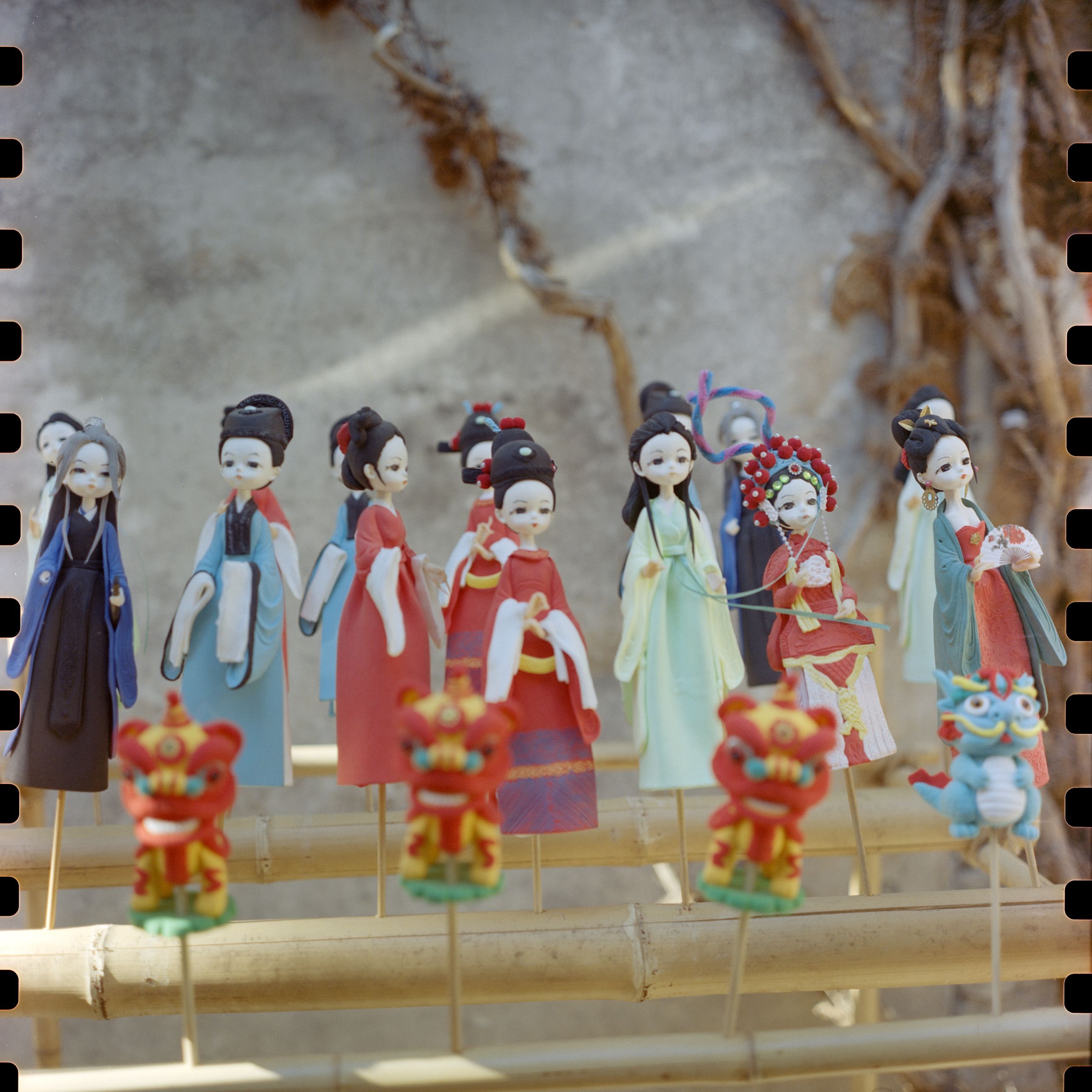Rolleiflex 5207 202502 005
