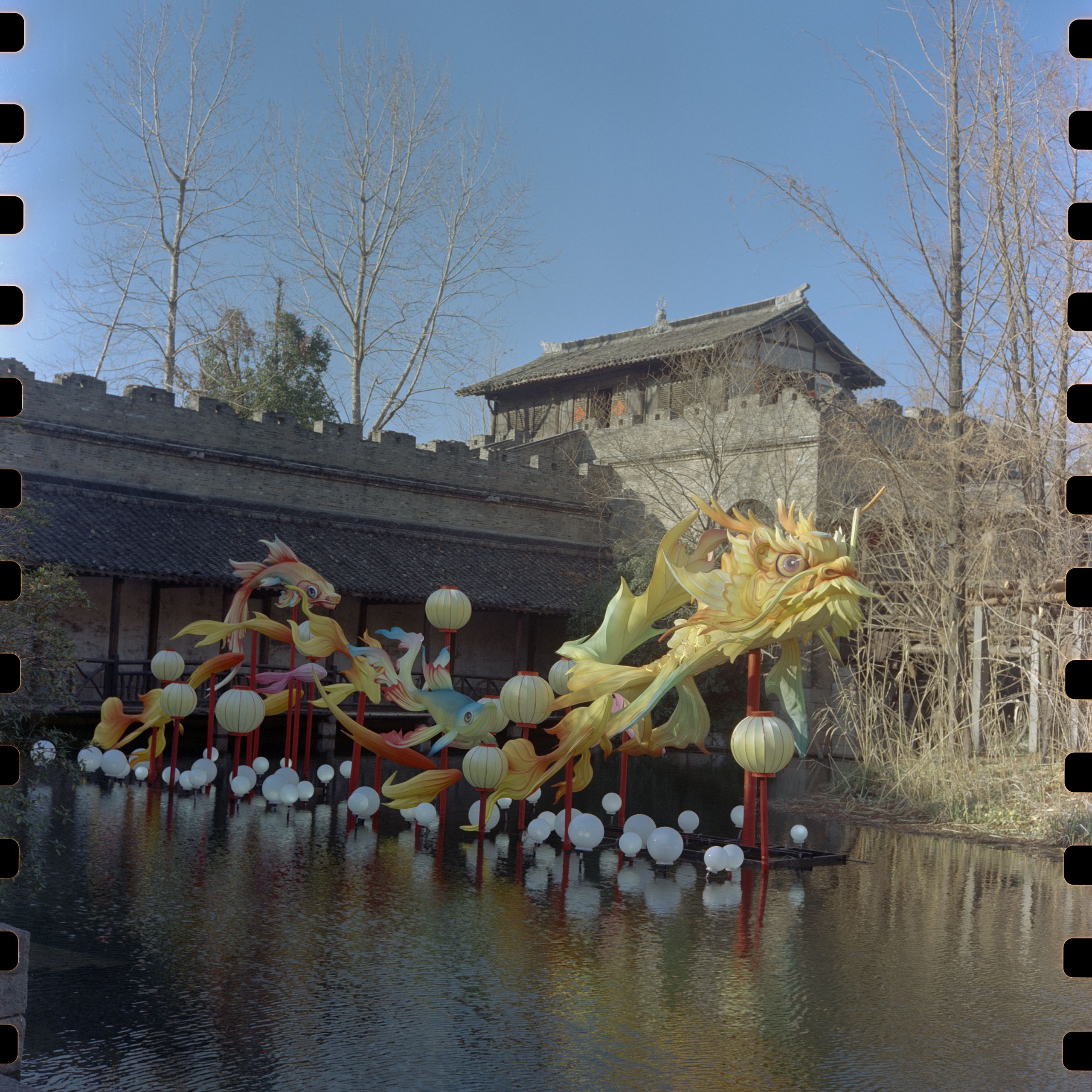 Rolleiflex 5207 202502 008