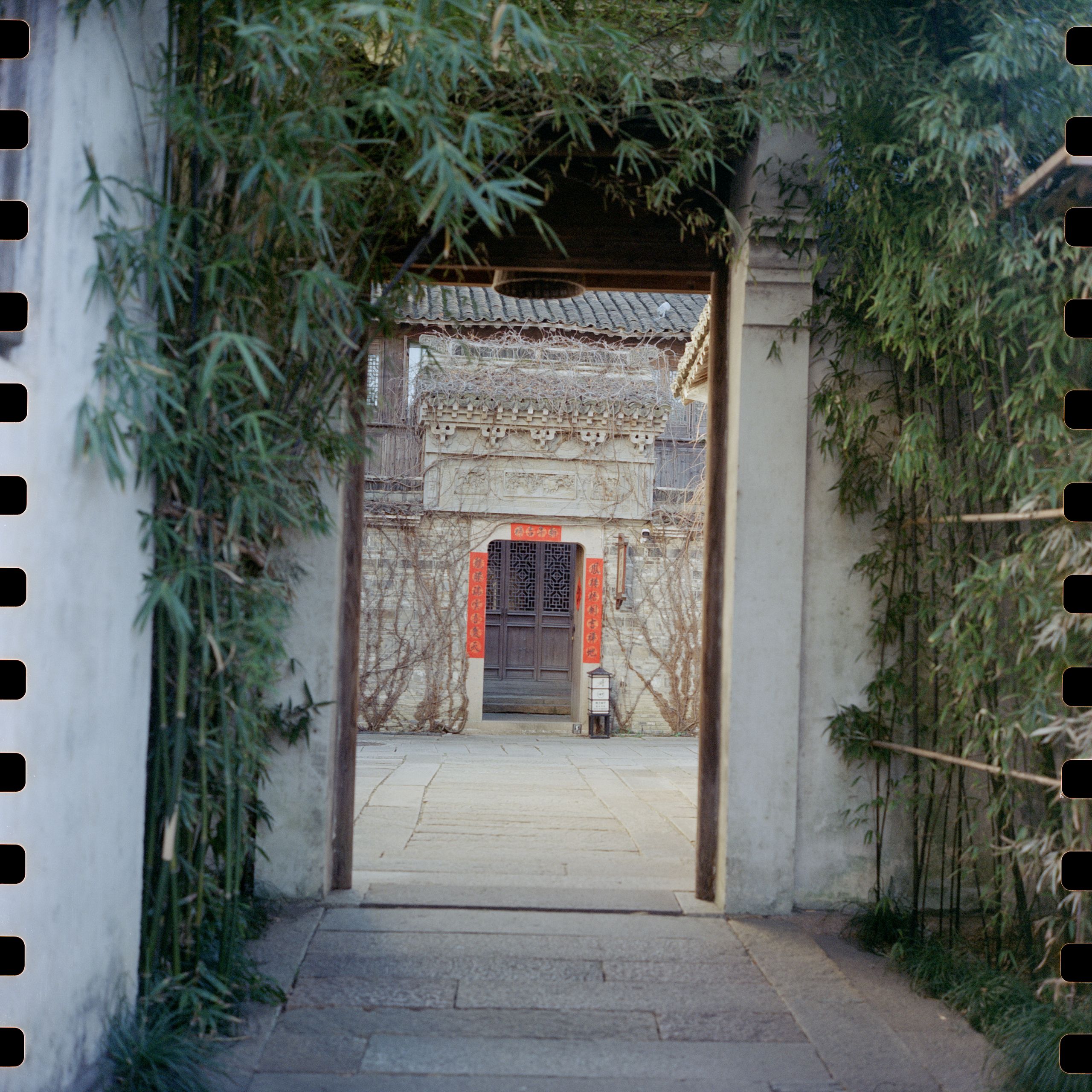 Rolleiflex 5207 202502 009