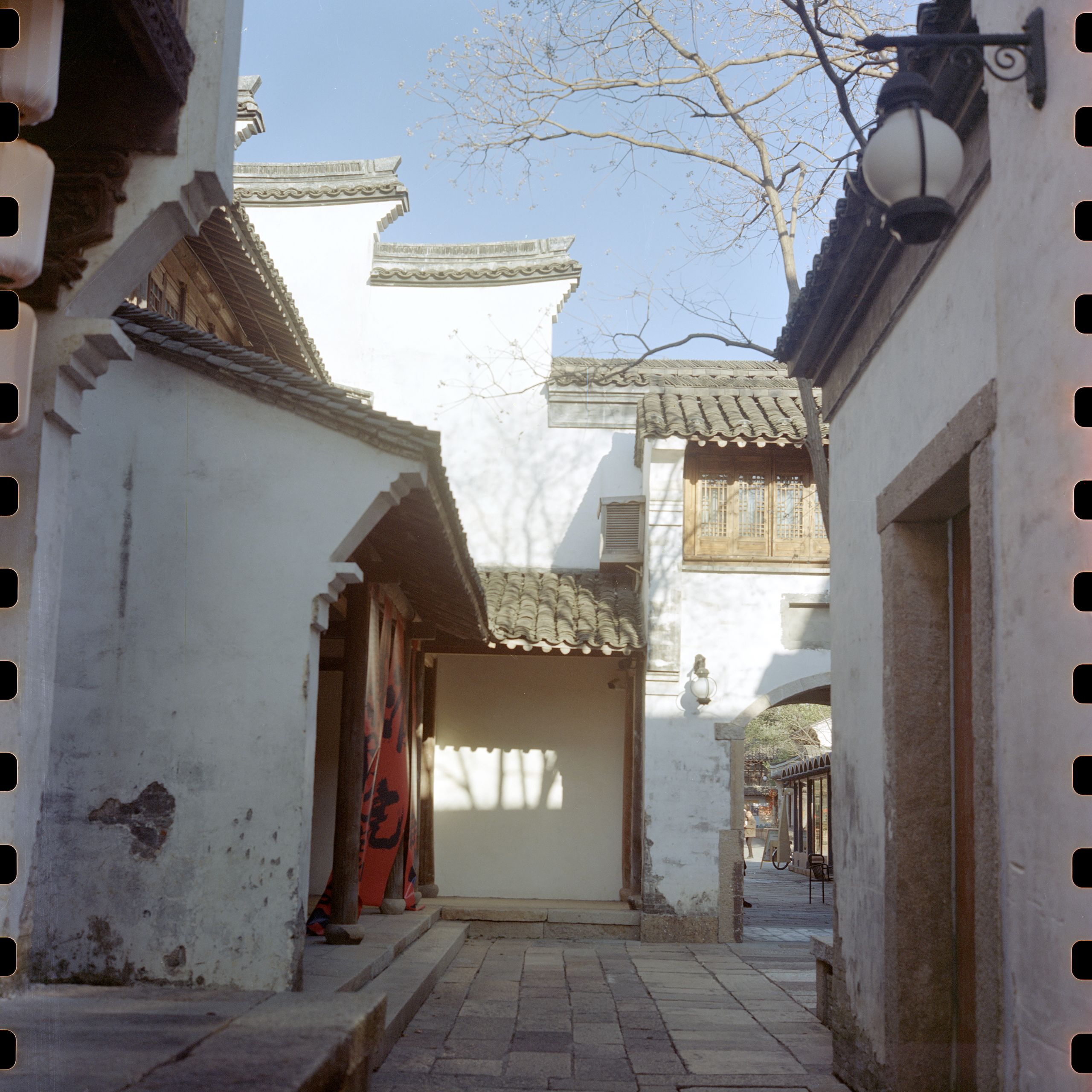 Rolleiflex 5207 202502 012
