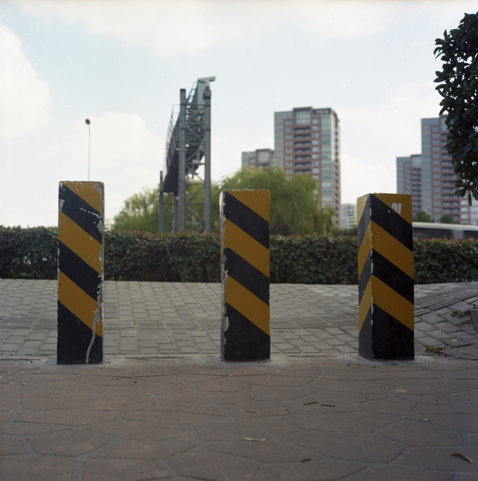 Rolleiflex121214 06
