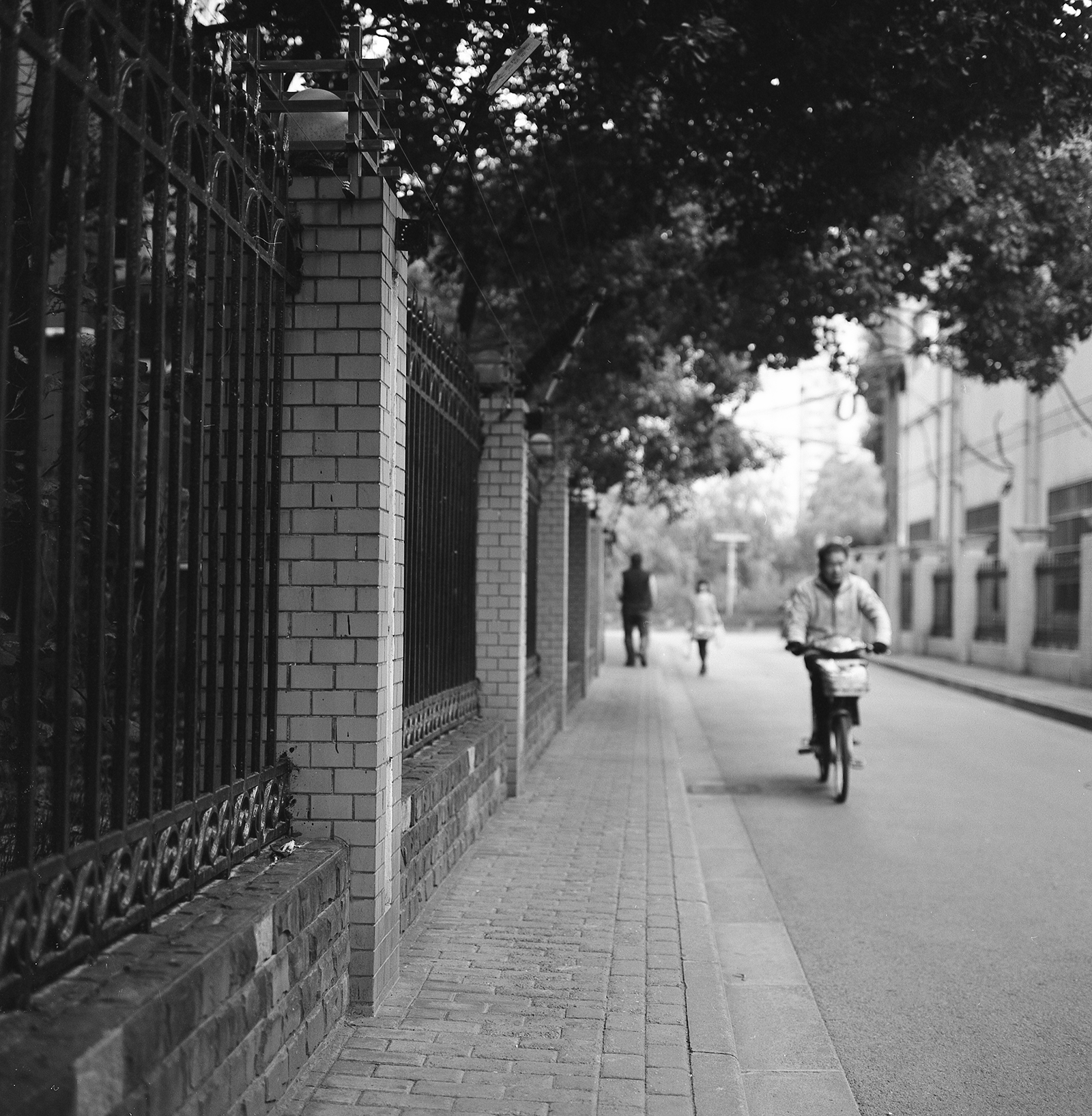 Rolleiflex141225 001