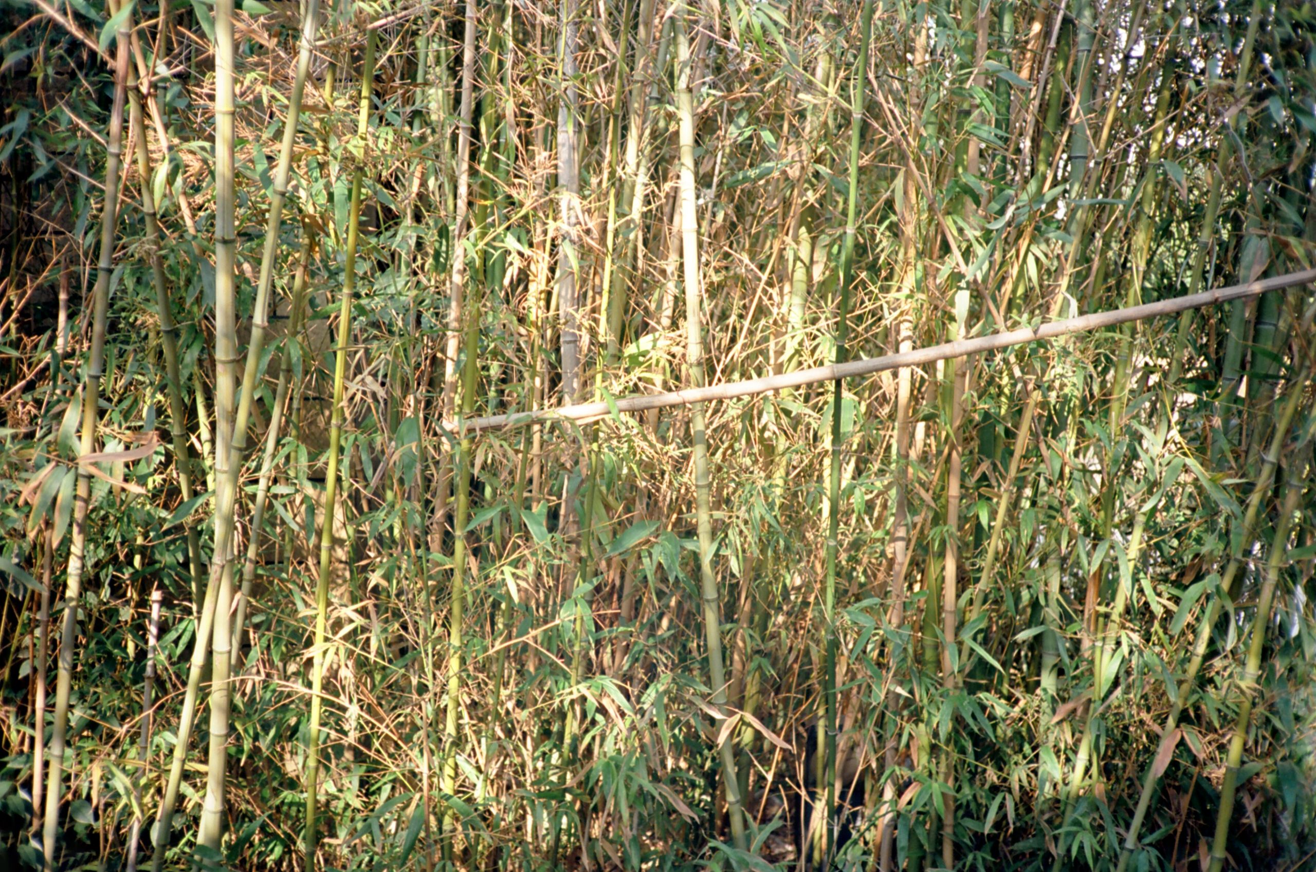 Ektar100 08