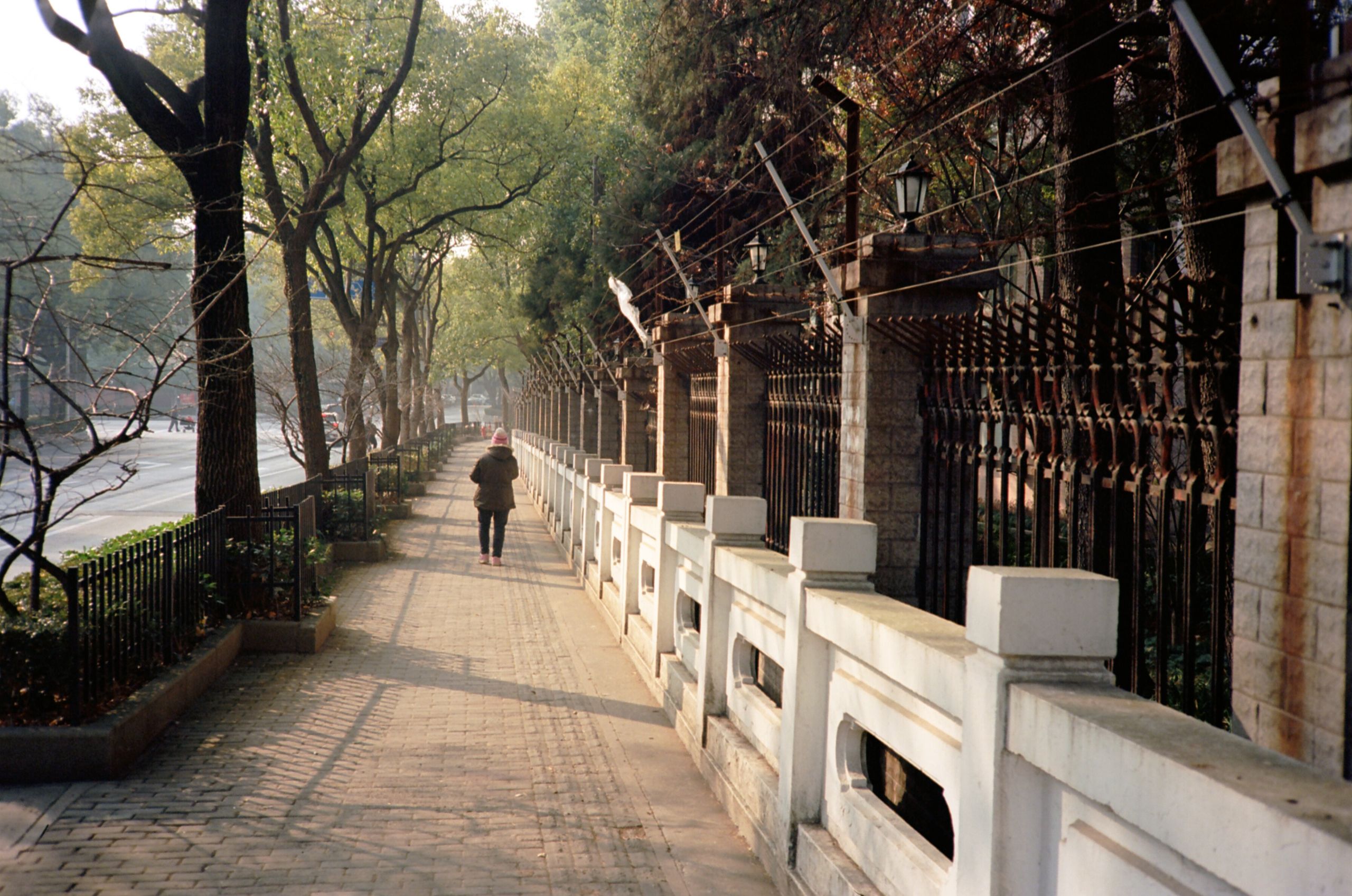 Ektar100 13