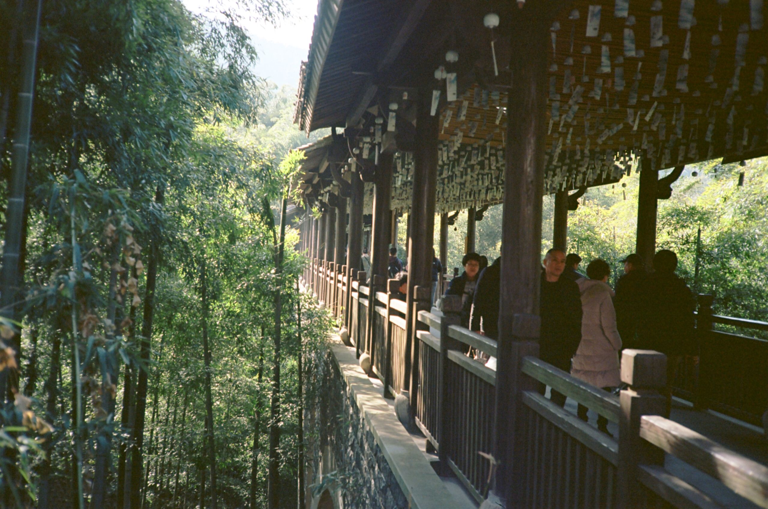 Ektar100 24