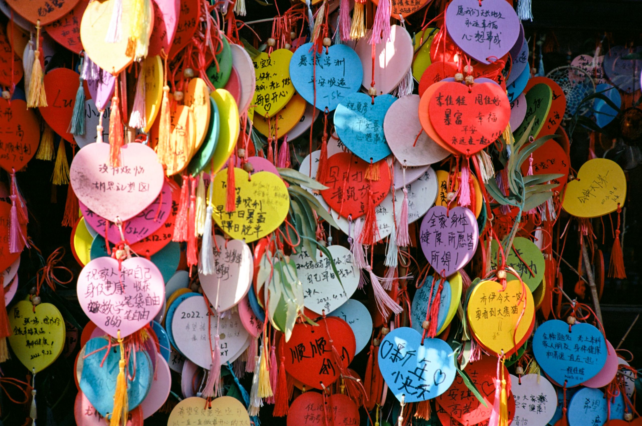 Ektar100 25