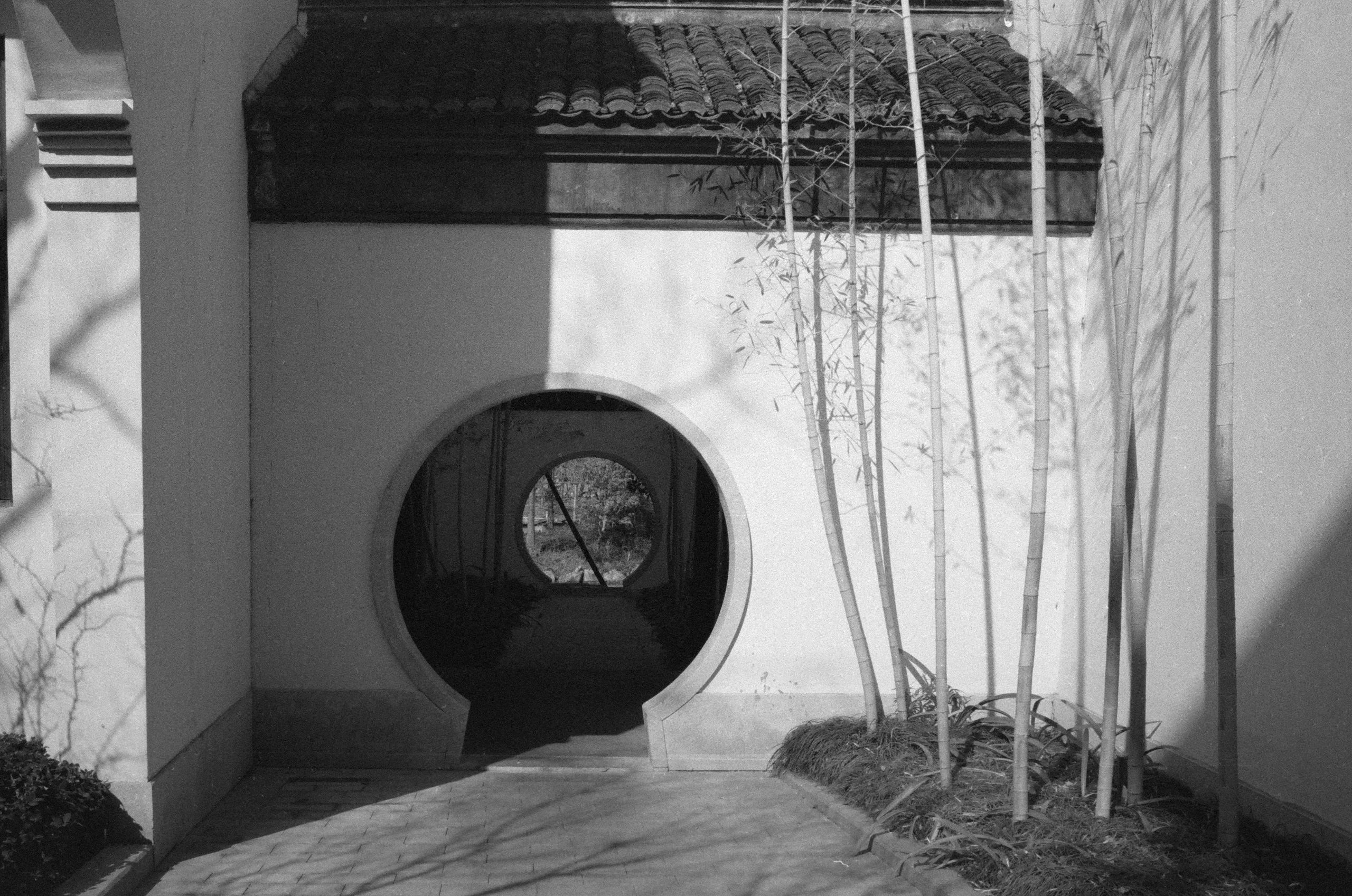 HexarBlack Acros 202502 030