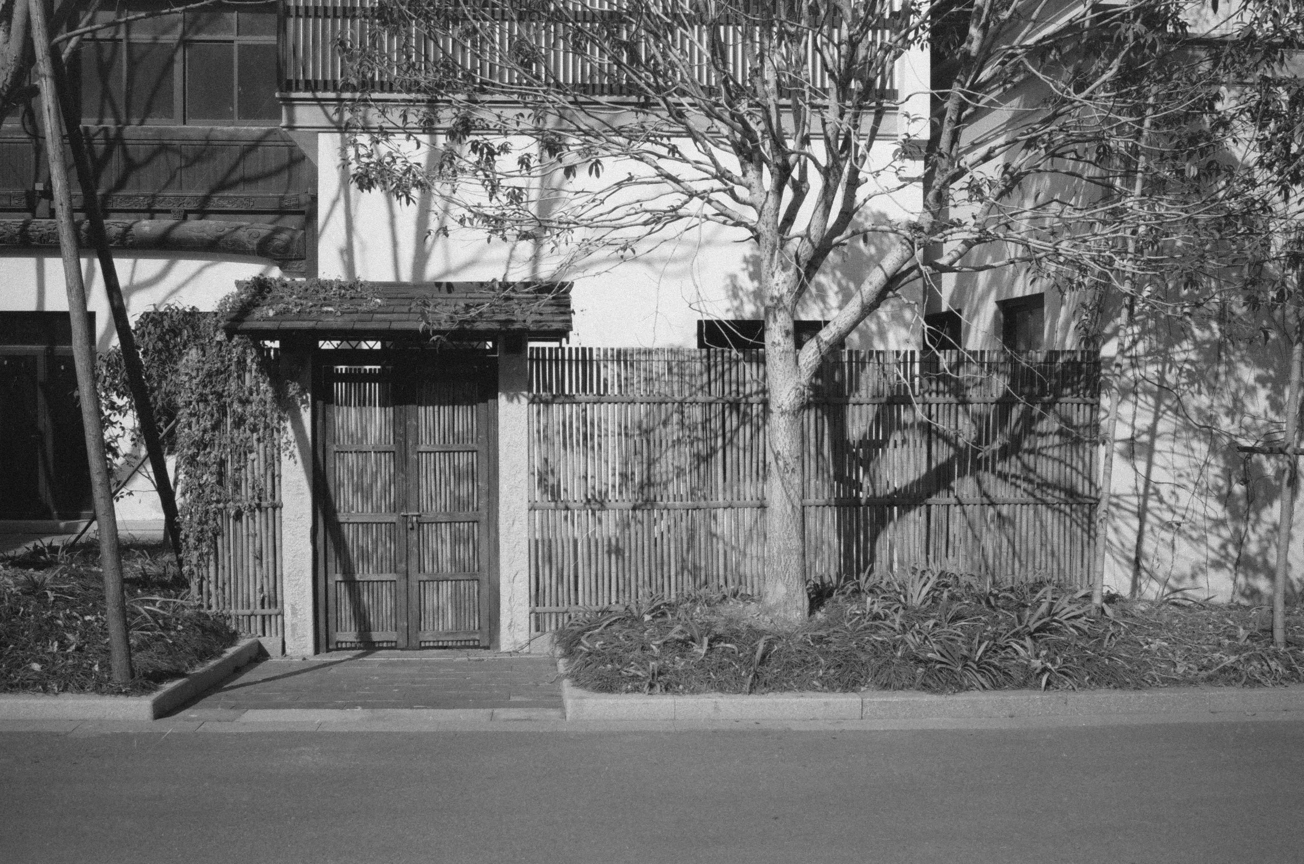 HexarBlack Acros 202502 032