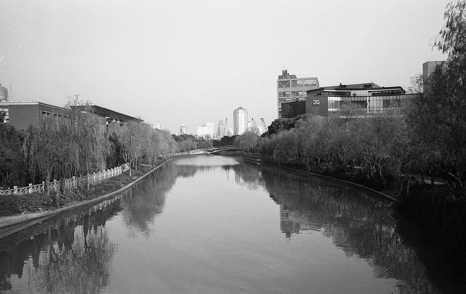 LeicaM6 130118 002