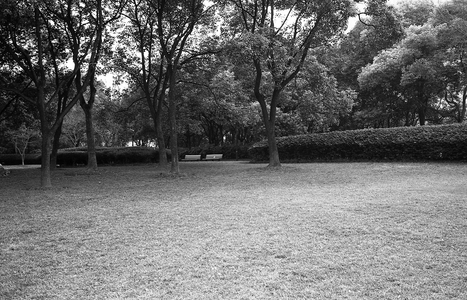 LeicaM6 130118 016