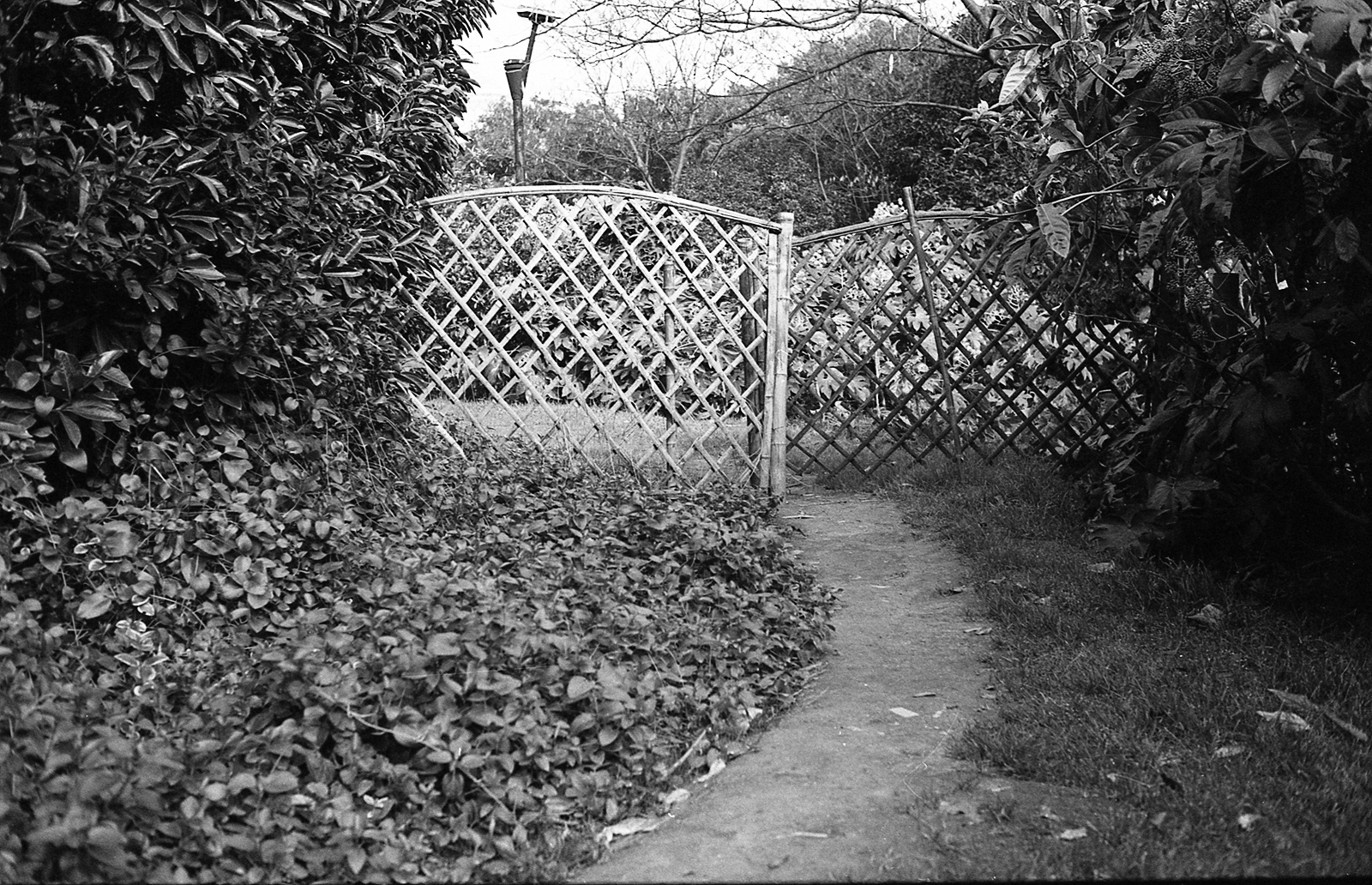 LeicaM6 130118 019