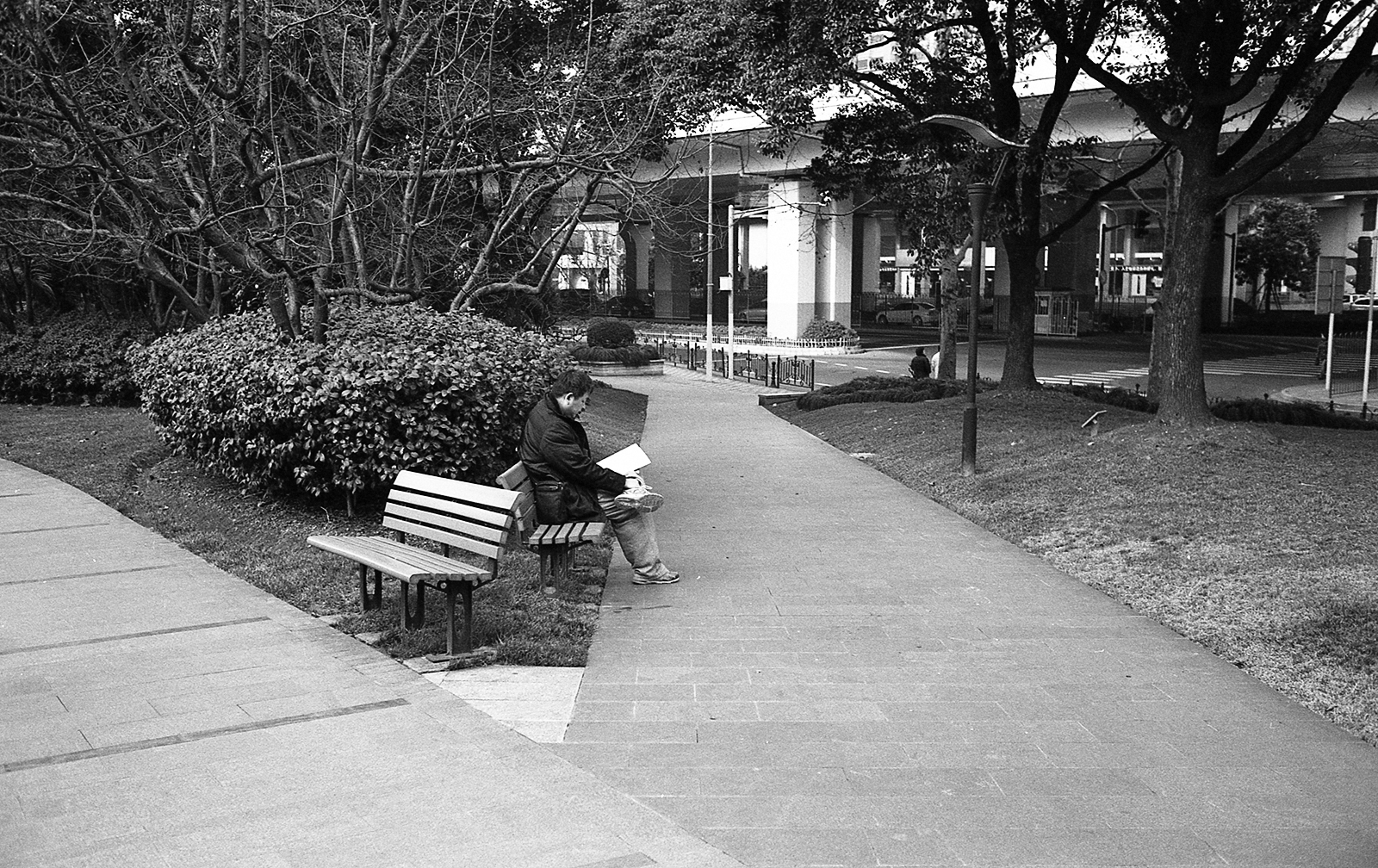 LeicaM6 130118 021
