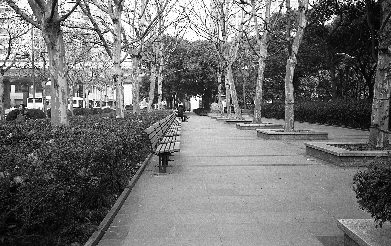 LeicaM6 130118 022