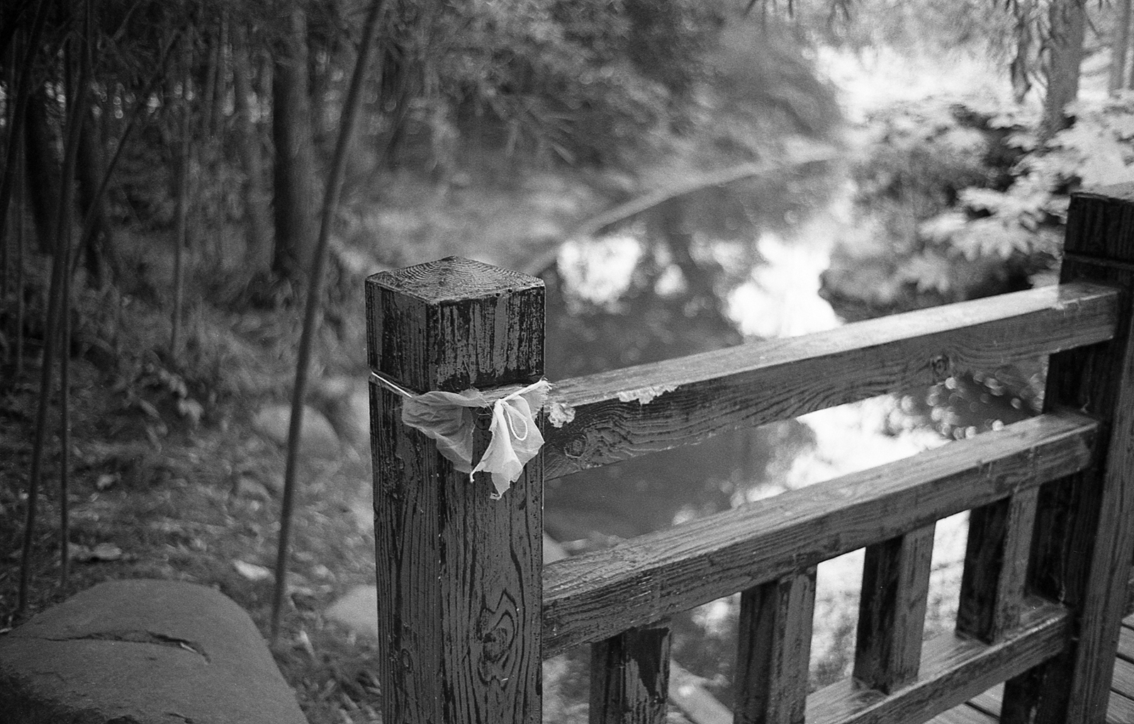 LeicaM6 130118 026
