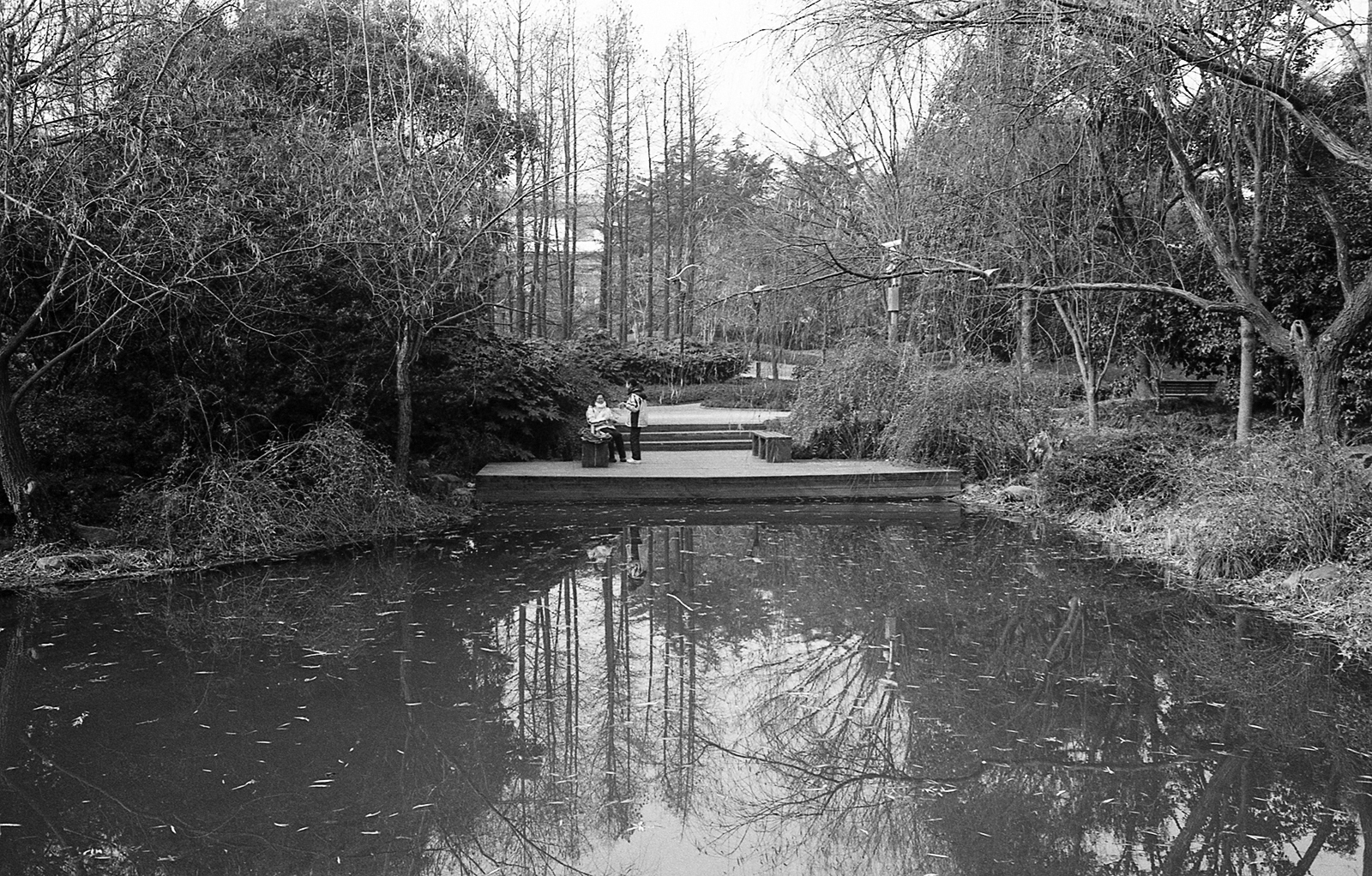 LeicaM6 130118 027
