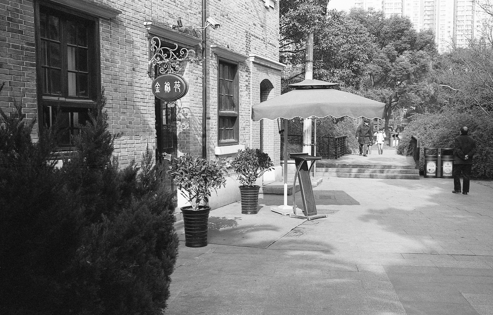 LeicaM6 130118 029