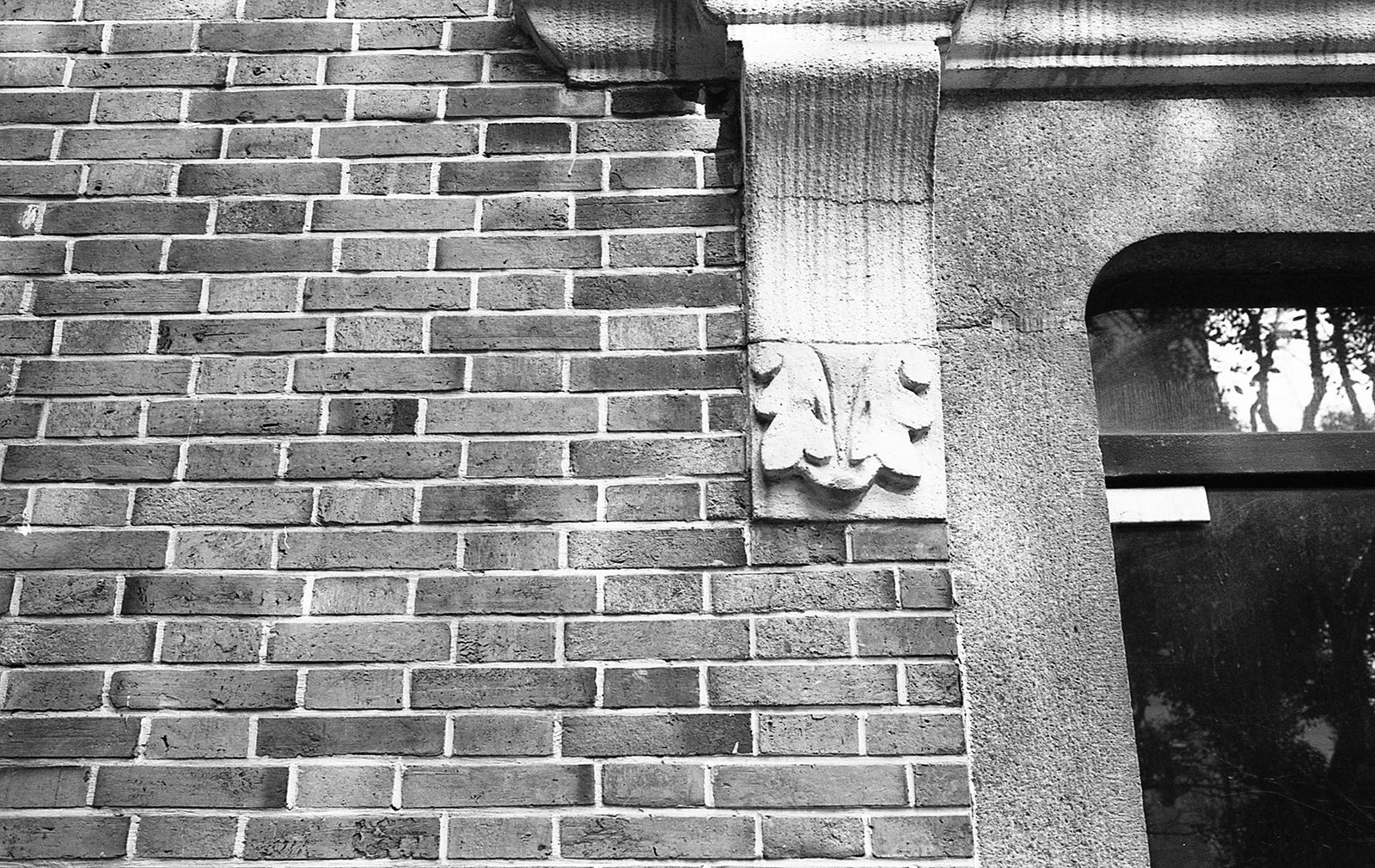 LeicaM6 130118 033