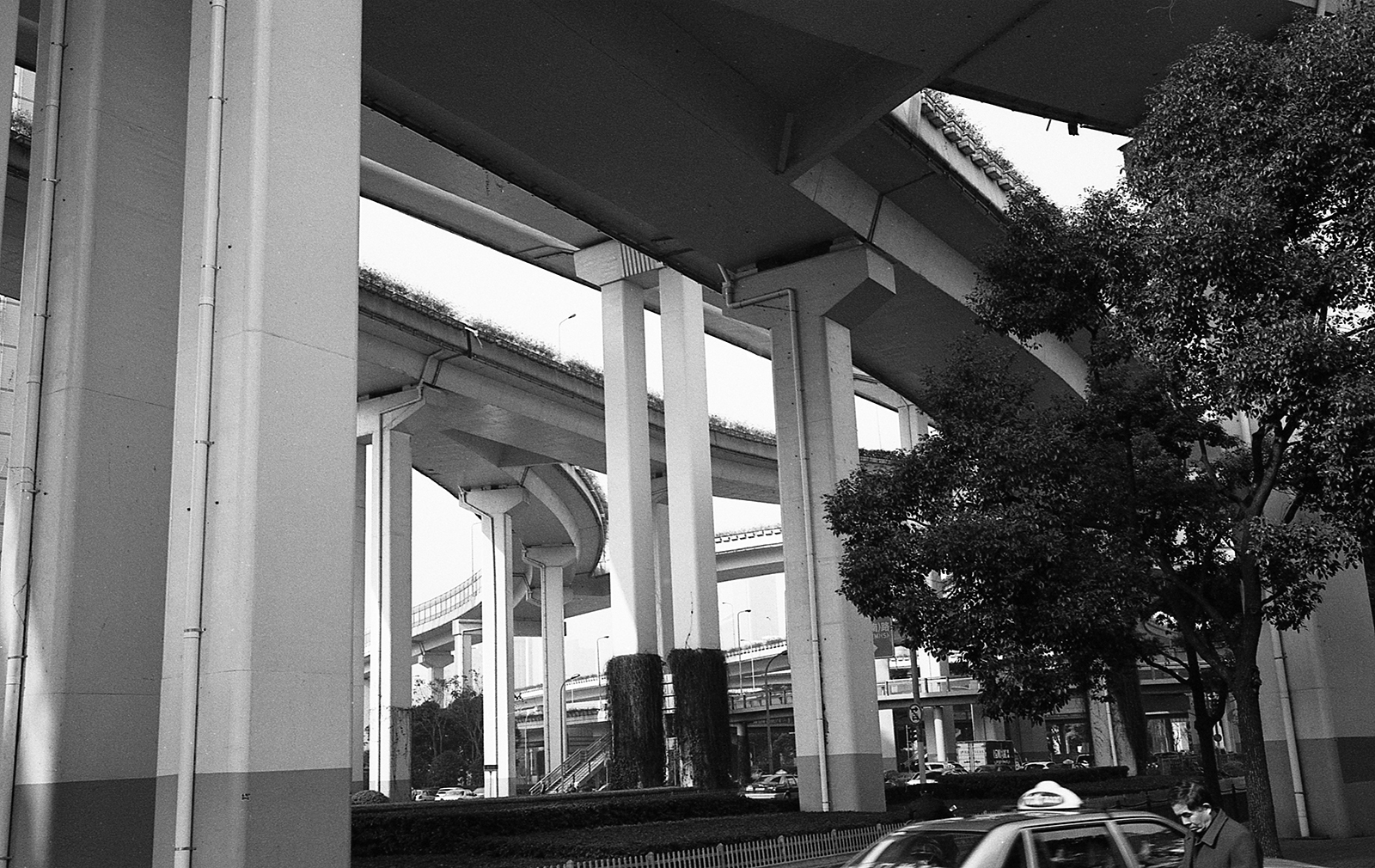 LeicaM6 130118 034