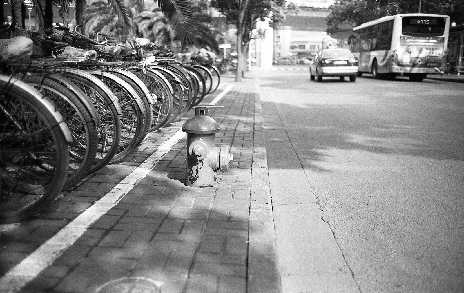 LeicaM6 130118 035